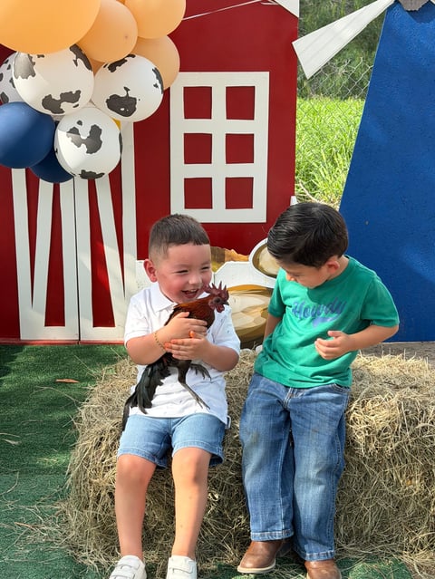 Two young boys sitting on hay holding a goat in front of a red barn and colorful balloons at a farm.